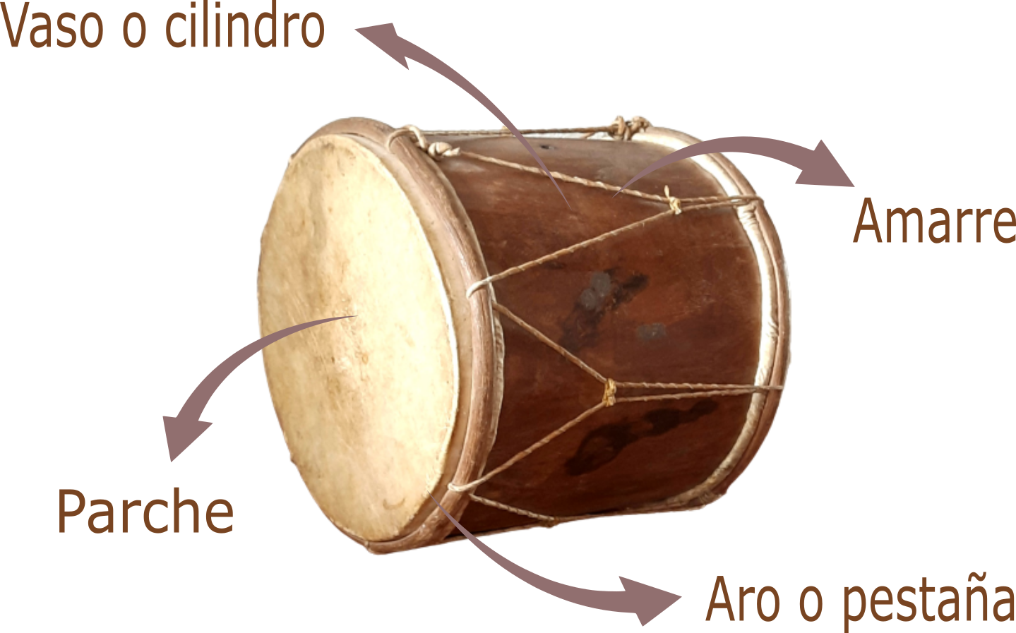 Tambora grantolimense